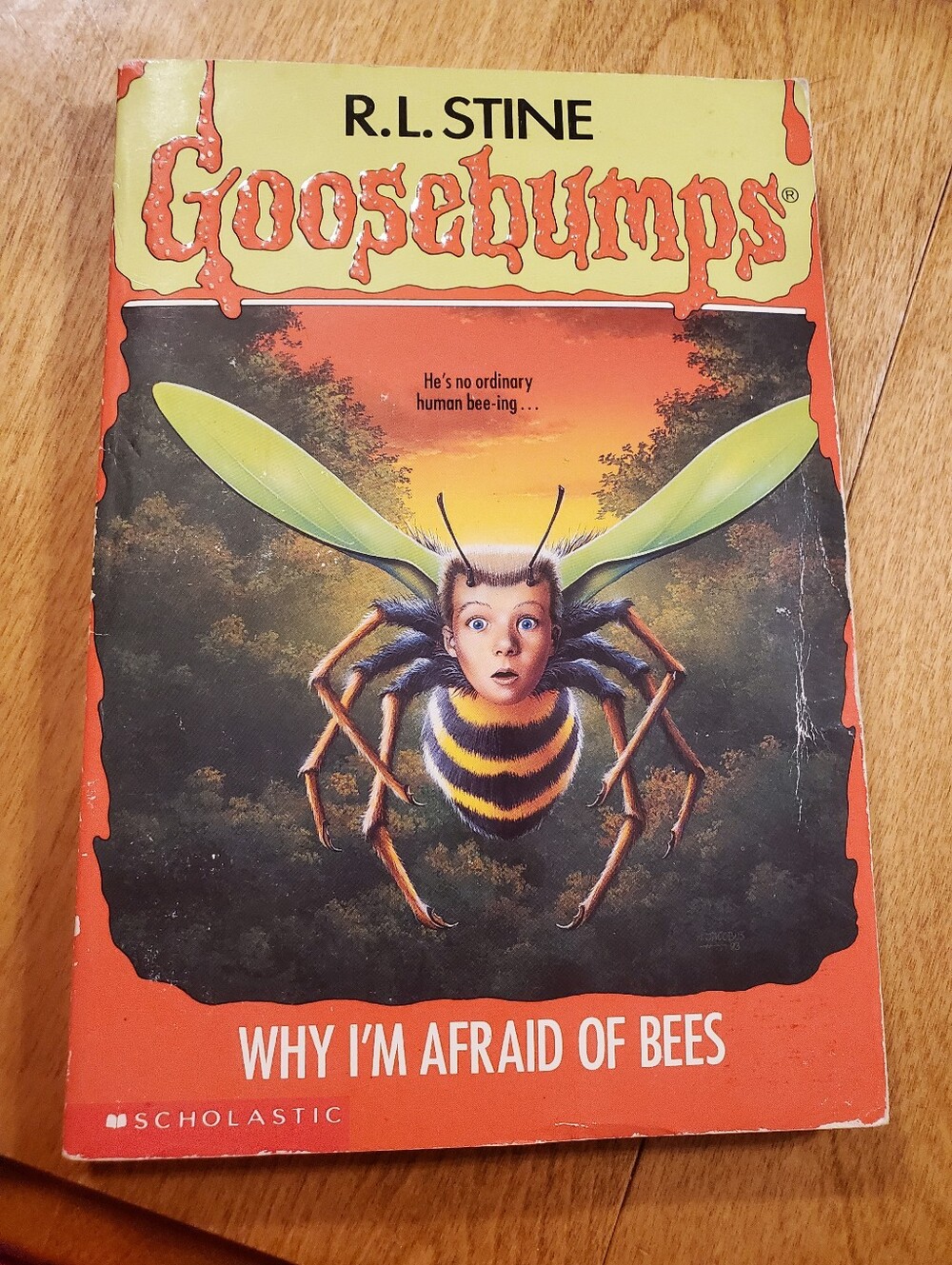 1st Scholastic Print Goosebumps #17 Why I'm Afraid of Bees ~ R.L. Stine